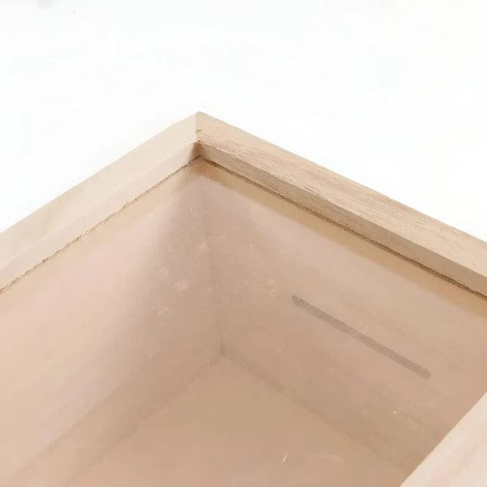 Tirelire Bois Transparente – Image 7